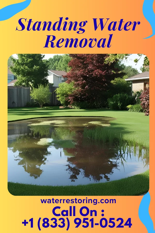 Standing Water Removal in Bigelow, MN